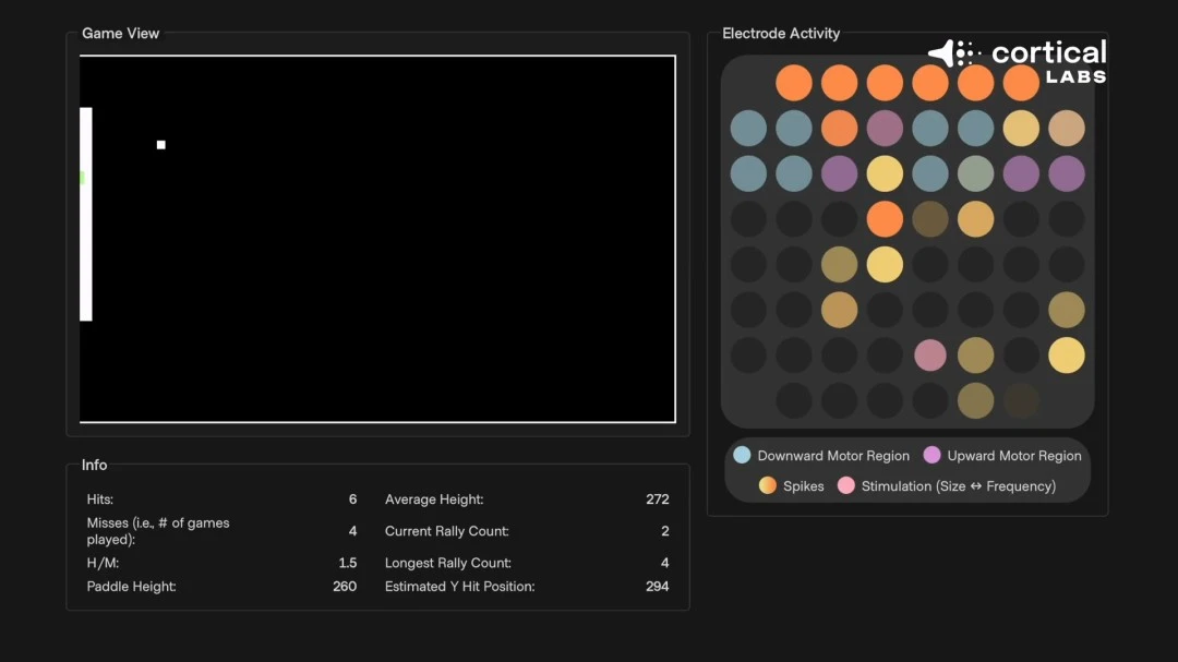 国足视频,日本逆转,分创败绩新,kaiyun·开云（中国）KaiYun官网,KaiYun开云娱乐,kaiyun·开云（中国）投注,kaiyun·开云（中国）平台,开云赛事直播,kaiyun·开云（中国）app下载